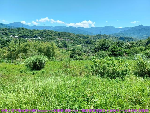 中寮農地-2
