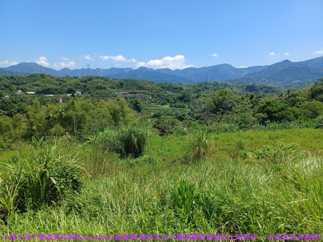 中寮農地-4