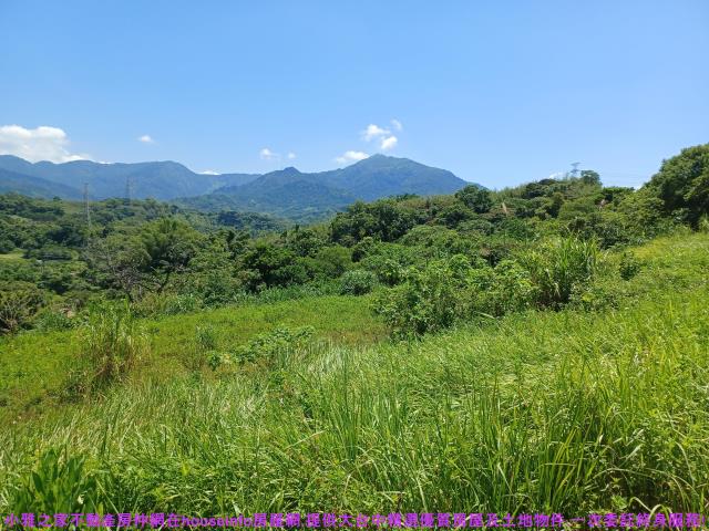 中寮農地-5