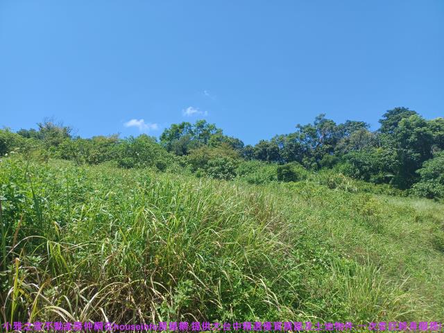 中寮農地-6