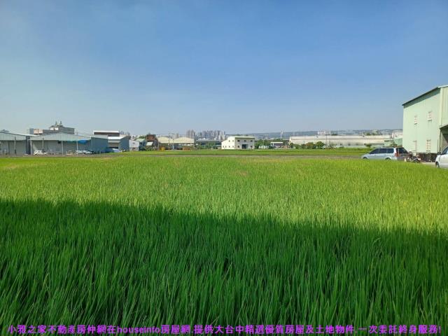 西屯農地-4