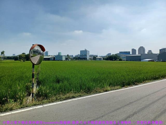 西屯農地-5