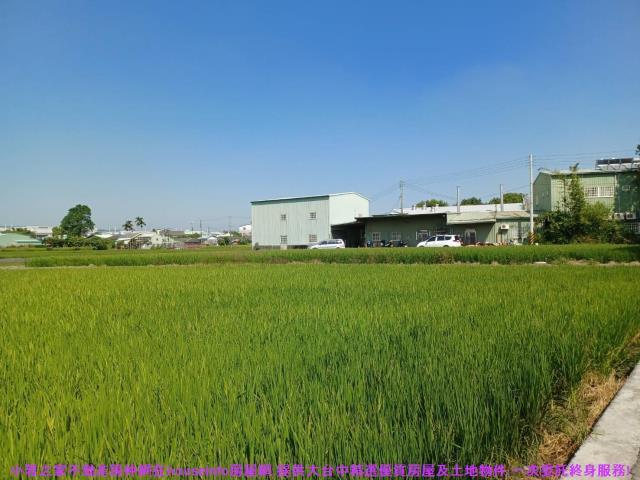 西屯農地-5