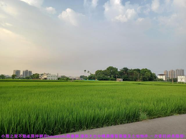 台中農地-0
