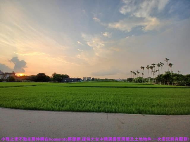 台中農地-1