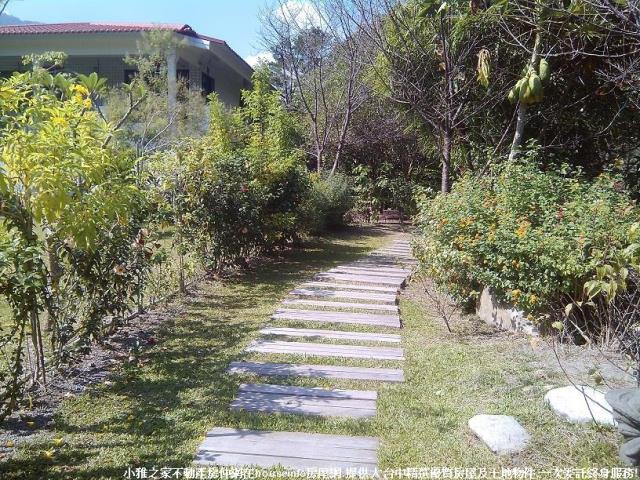 台中和平山坡地-2