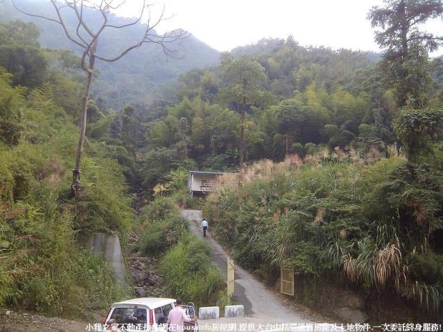 台中東勢山坡地-0