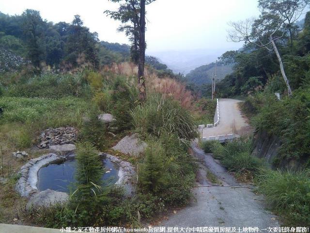 台中東勢山坡地-1