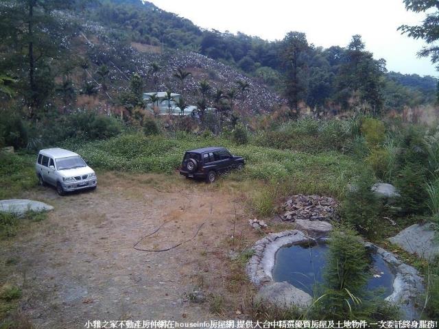 台中東勢山坡地-2