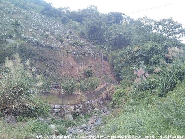 台中東勢山坡地-9