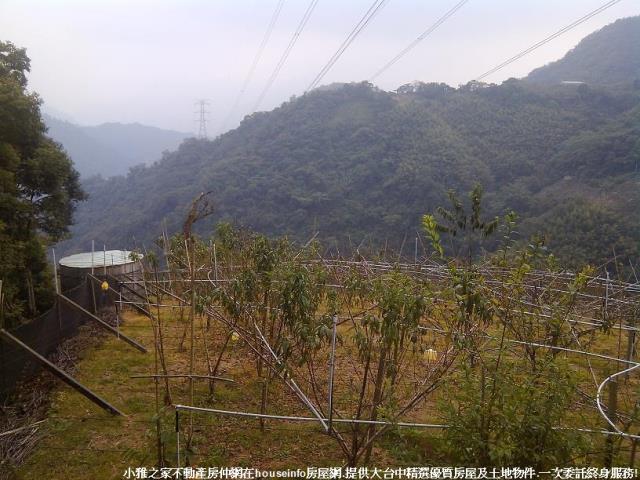 和平山坡地-2