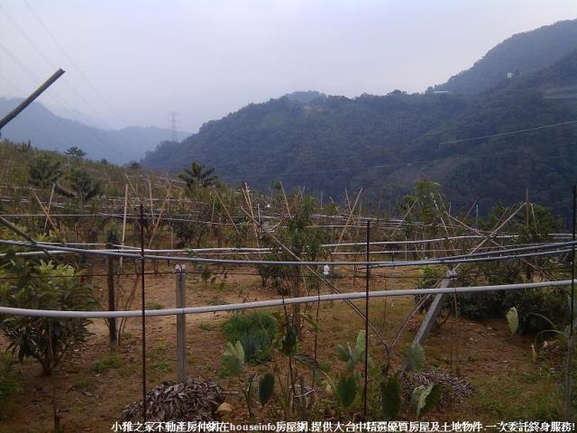 和平山坡地-7