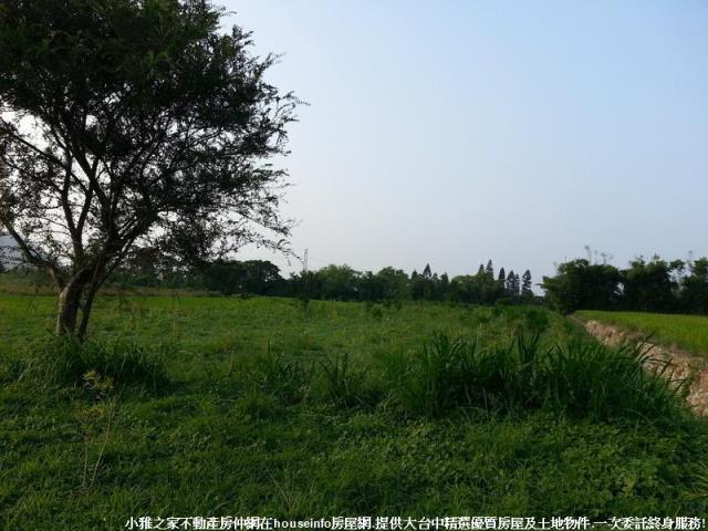 台中農地-7