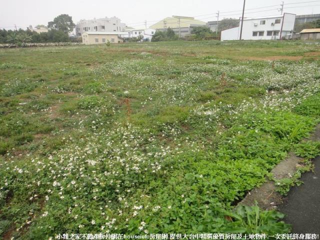 新社農地-4