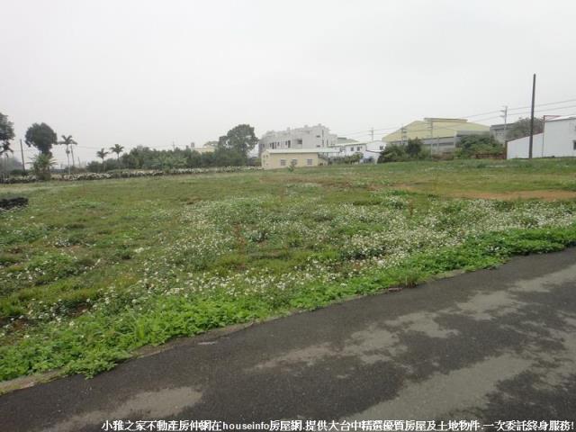 新社農地-5