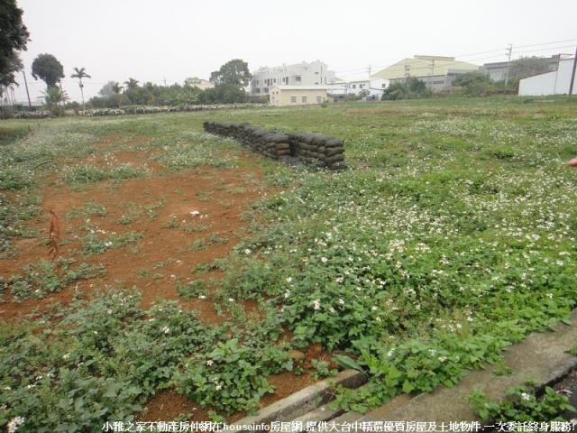 新社農地-6