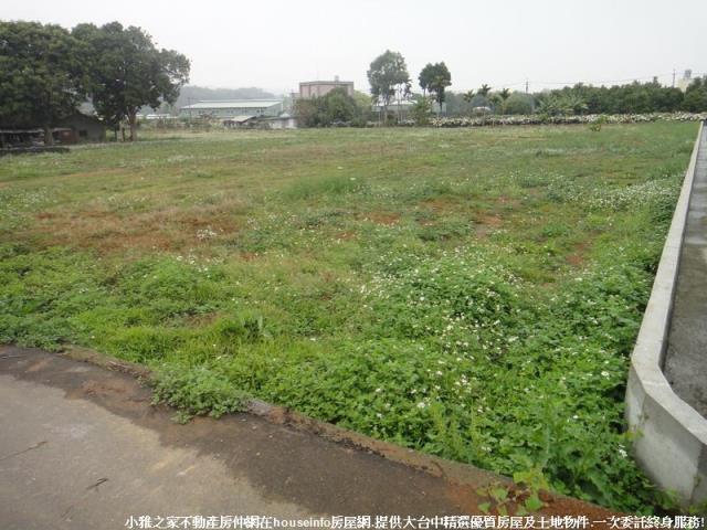 新社農地-0